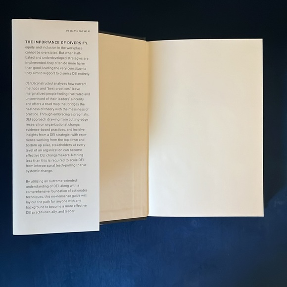 DEI Deconstructed by Lily Zheng - Picture 3 of 5